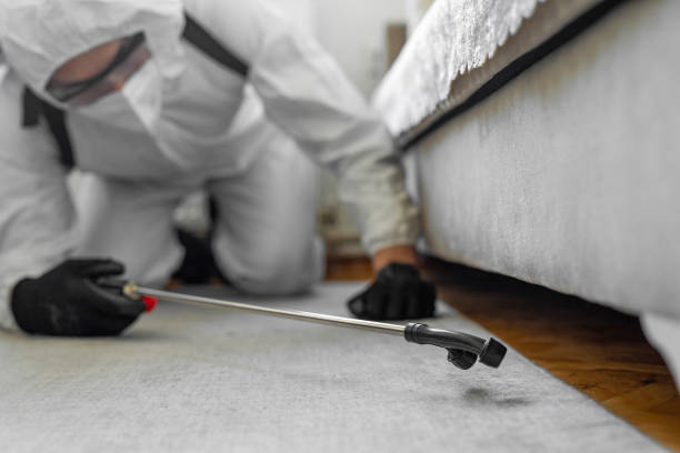 Professional Pest Control technician working in Carroll County County, VA